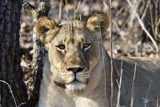 Ludo's Research Trip to Malawi