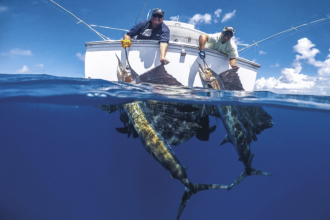The Best of the Best: Fishing Destinations