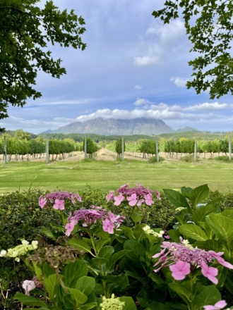 Ludo's Recent Trip to South Africa