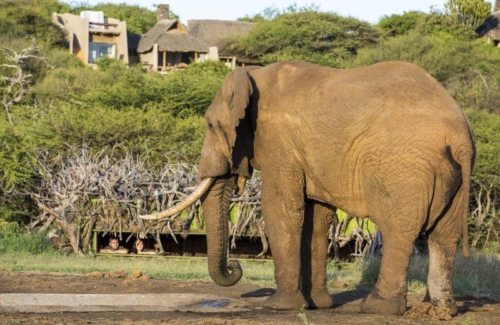 A Spotlight on Photography Hides