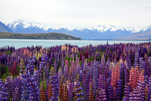 What to Book Now for Autumn & Winter Travel