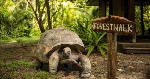 A Spotlight on Sustainable Lodges