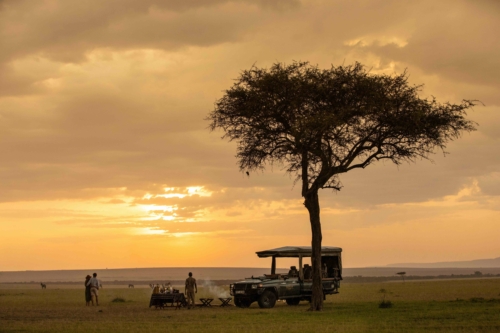 A Guide to Our Safari Destinations