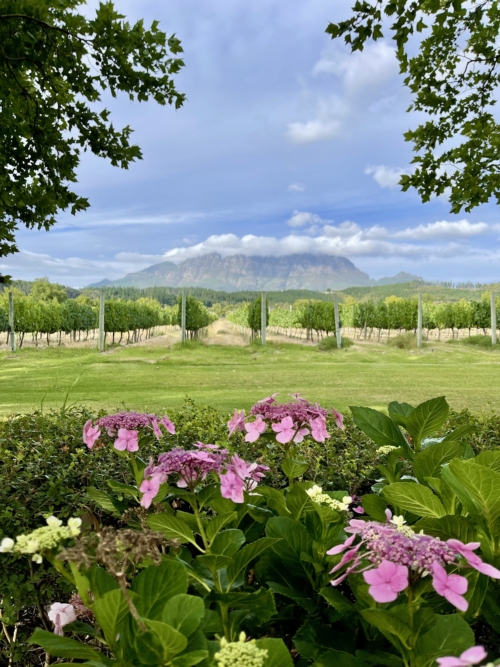 Ludo's Recent Trip to South Africa