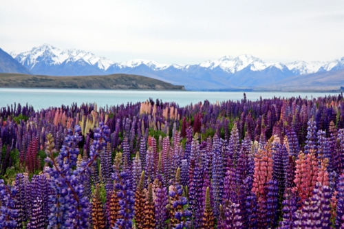 What to Book Now for Autumn & Winter Travel